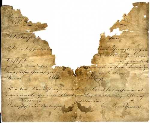 Gesundheitsschein, Kreis Tierarzt (Nizi_Ges_3)