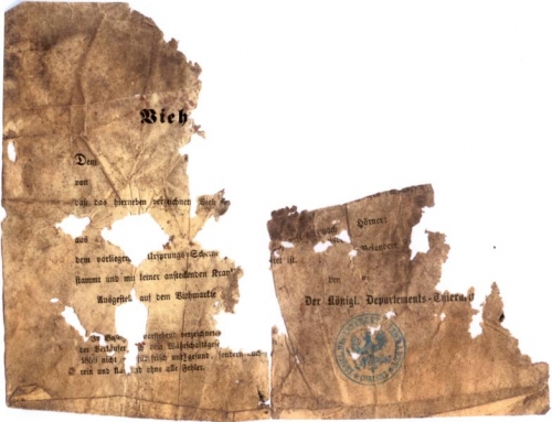 Tierarztbescheinigung, Viehverkauf (Nizi_Ges_4)