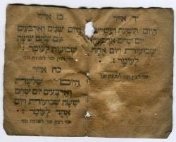 Omer Kalender (Nizi_Ms_66)